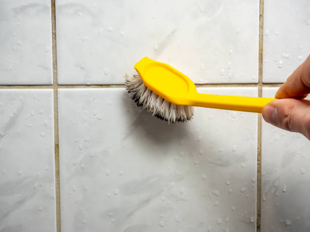 Best Attic Mold Removal  in Emma, NC