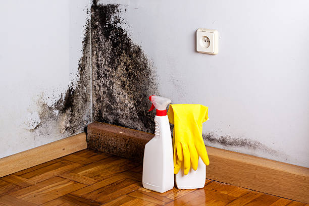 Best Crawl Space Mold Removal  in Emma, NC