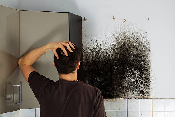 Best Home Mold Removal  in Emma, NC